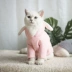 Mèo dễ thương quần áo mèo cưng chó mèo quần áo Anh ngắn bạc gradient Garfield mèo trang phục mùa thu và mùa đông mới - Quần áo & phụ kiện thú cưng quần áo cho mèo con Quần áo & phụ kiện thú cưng