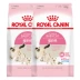 Thức ăn cho mèo Royal BK34 1-4 tháng 400g cho con bú thức ăn cho mèo mang thai mèo chính thức ăn cho mèo trẻ ăn thức ăn cho mèo