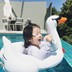 Vòng bơi cho bé 1-3 tuổi Ghế ngồi cho bé flamingo Vòng bơi cho bé 3-6 tuổi dày - Cao su nổi các loại phao bơi Cao su nổi