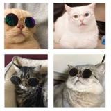 Забавные солнцезащитные очки, украшение подходит для фотосессий, реквизит, кот, домашний питомец