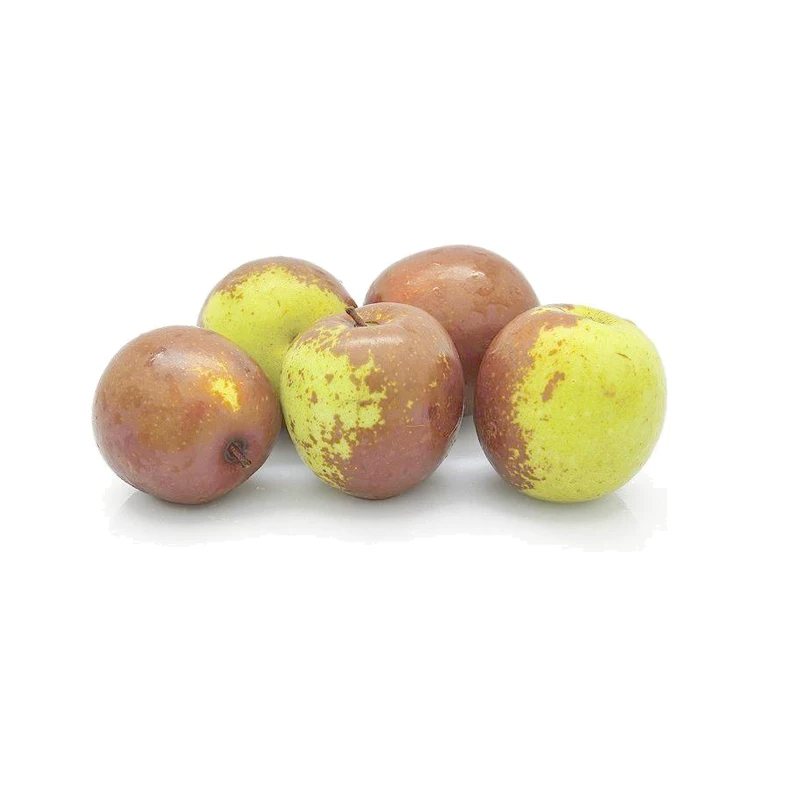 [Jujube tree live seedling grafted seedling with fruit in year huge Jin-si green jujube planted in courtyard for north south winter jujube seedling]