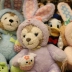 Món quà nhỏ để gửi cho bé gái Disney búp bê đồ chơi sang trọng Tamifi gấu Easter Shirley tăng mới 2019 - Đồ chơi mềm Đồ chơi mềm