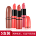 Son môi Bộ Bí Ngô Màu Bưởi Retro Red Giữ Ẩm Matte Mini Lipstick Đặt Son Môi Năm Gói son background a12 chính hãng Son môi