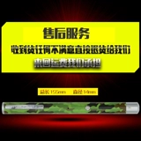 Портативный USB -лазерный фонарик зеленый свет Продажи красная световая ручка песчаная ручка, полная звездных звезд лазерная стрельба