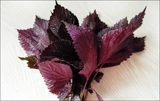 Новые товары свежие фиолетовые листья редактируйте барбекю, чтобы удалить рыбную сушеные листья Suzi Spice, китайские лекарственные материалы сухой 150 г грамм Бесплатная доставка