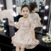 Váy trẻ em hè 2019 quần áo trẻ em mới siêu mạng lưới công chúa hoa đỏ váy bé gái mùa hè - Váy Váy
