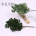 Mô phỏng vẻ đẹp cây thông Luo Han Song kim tuyết tùng cành cây lá bonsai chụp đạo cụ trang trí cây trang trí cảnh quan - Trang trí nội thất đồ trang trí nhà cửa Trang trí nội thất