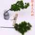 Mô phỏng vẻ đẹp cây thông Luo Han Song kim tuyết tùng cành cây lá bonsai chụp đạo cụ trang trí cây trang trí cảnh quan - Trang trí nội thất Trang trí nội thất