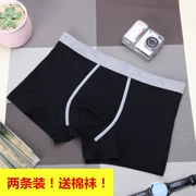 2 đồ lót nam cotton boxer nam thoáng khí trẻ trung bốn góc quần short đầu thủy triều đồ lót nam