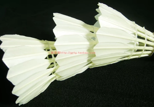 3 ведра бесплатных носков для доставки Sun Sun Badminton T-03 T03 T06 Игровой тренировочный клуб