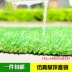 Sân chơi ngoài trời sân cỏ nhân tạo thảm cầu vồng đường băng nhân tạo mô phỏng thảm cỏ mẫu giáo đặc biệt thảm trang trí phòng khách Thảm