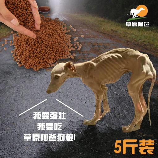 Thức ăn cho chó tự chế của bố đồng cỏ Gree Lingti Huibit Puppy Chó chăn nuôi lớn hơn Thức ăn cho chó 5 kg - Chó Staples