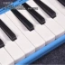 Bán thương hiệu đàn organ 32 phím nhạc cụ học sinh trẻ em mới bắt đầu chơi gửi túi đàn piano ống Chaoyang chim - Nhạc cụ phương Tây