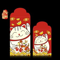 Jinbazhao Cat