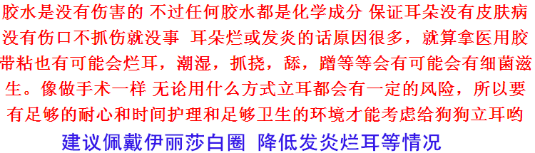 Демю собачьи уши корректированные уши, ухо, ухо, ухо, Тунбин Аляска Дандан Ушной наклейка Специальный клей