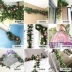 Mô phỏng hoa hồng giả mây đám cưới trong nhà phòng khách treo tường hoa lụa trang trí hoa mẫu đơn cây nho xanh - Hoa nhân tạo / Cây / Trái cây Hoa nhân tạo / Cây / Trái cây