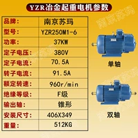 YZR 250M1-6 37KW