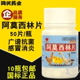 Ветеристы и зверь с фильмами из амори, собака, антрополис анти -заглавные, интракти, интракти, интракти, интракти, интракти, интракти.