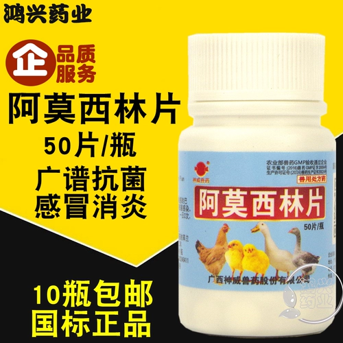 Ветеристы и зверь с фильмами из амори, собака, антрополис анти -заглавные, интракти, интракти, интракти, интракти, интракти, интракти.