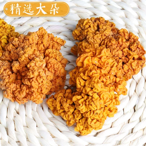 New Yunnan Special