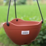 Алиса покрытие бассейна орхидея