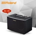 Loa chính hãng Roland Roland AC33 AC40 AC60 RW Loa Guitar Acoustic - Loa loa loa jbl clip 3 Loa loa