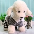 Những người yêu thích mùa thu mùa đông kích thước mới chó quần áo thú cưng ăn mặc Teddy Bomei VIP Bíchon - Quần áo & phụ kiện thú cưng
