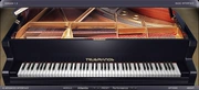 TruePianos Piano Nhạc cụ ảo Nguồn mềm cắm VST Plugin trong MIDI - Nhạc cụ MIDI / Nhạc kỹ thuật số