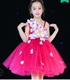Trang phục trẻ em mới cho bé gái công chúa tutu hợp xướng yếm phù hợp với nam giới Ngày thiếu nhi Trang phục biểu diễn - Trang phục váy đầm trẻ em 13 tuổi Trang phục