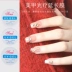 Dụng cụ làm móng sina chính hãng bằng nhựa pha lê kéo dài bằng kim cương - Công cụ Nail