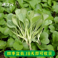 Ricksmal Seed Seed 50G Оригинал около 10000 капсул
