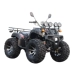 ATV kích thước bulls tốc độ vô cấp ATV bốn bánh off-road xe máy đôi dành cho người lớn xăng off-road