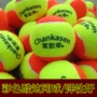 Chang Kaishen quần vợt kháng chiến đích thực cho người mới bắt đầu đào tạo sinh viên đại học chuyên nghiệp thực hành massage đồ chơi chó bán bóng tennis
