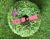 Mô phỏng cỏ bóng garland cỏ vòng mã hóa Milan bốn đầu cỏ trang trí cửa sổ hoa treo mái giả hoa xanh cây cỏ tường - Hoa nhân tạo / Cây / Trái cây Hoa nhân tạo / Cây / Trái cây