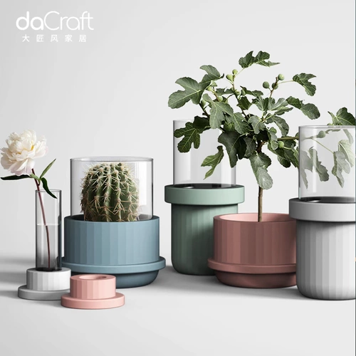 Ins nordic creative small Fresh Office Desktop Hydroponic Poly Plow Poly Polyglysis Gypsum Glass Vase