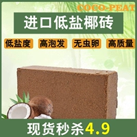 [Спайк] Кокосовой кирпич