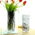 Hoa hồng phong phú tre lily thủy tinh bình hoa trang trí cắm hoa phòng khách nhà hàng hiện đại châu Âu đơn giản hoa thủy canh - Vase / Bồn hoa & Kệ Vase / Bồn hoa & Kệ