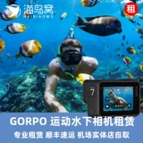 Морская птица подводной камеры аренда GoPro Hero8.