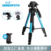 Jiabao chân máy ảnh di động DSLR phổ quát cửa hàng micro-shop tự động hẹn giờ video khuyến mãi khung SAB234 trực tiếp - Phụ kiện máy ảnh DSLR / đơn