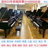 Профессиональное пианино для начинающих