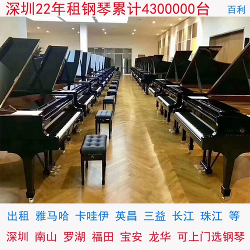 Профессиональное пианино для начинающих