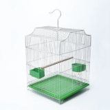 Бесплатная доставка, брат Bird Cage Tiger Pippi Peony Parrie