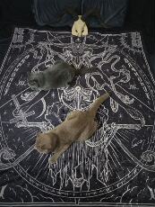 Гобелен None Other MW Baphomet