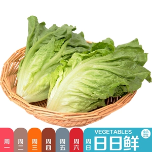 [Daily Fresh] Салат 300г
