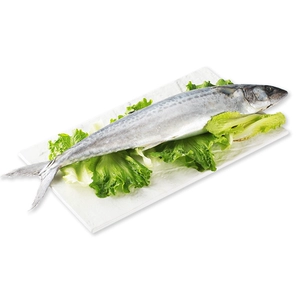 Скумбрия морская (Скумбрия) 500-600г/шт.