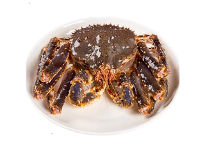 [【国内海水暂养】鲜活 帝王蟹 1.5-2kg/只]
