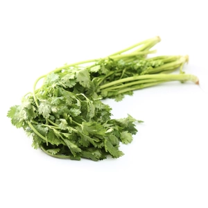 100G Кориандр