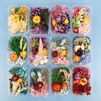 200pc Real Dried Flowers For DIY Art Craft Epoxy Resin Candl