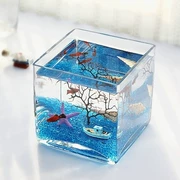 Trang trí nhà, Bình nuôi cấy nước, Bể cá, Xi lanh thủy tinh vuông - Vase / Bồn hoa & Kệ