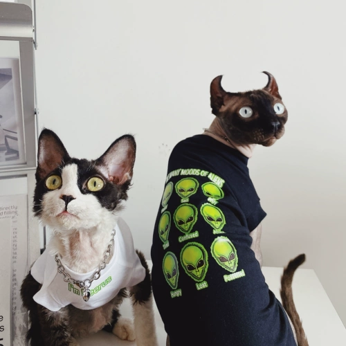 Серия инопланетных безволосой одежды для кошек, сфинкс, короткий -кеточный инопланетный хлопок T -рубашки с воздуха -кондиционированием весны и лета